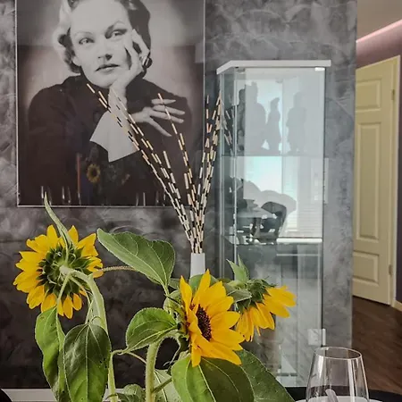 Suedschwarzwald Fuer Gruppen & Monteure