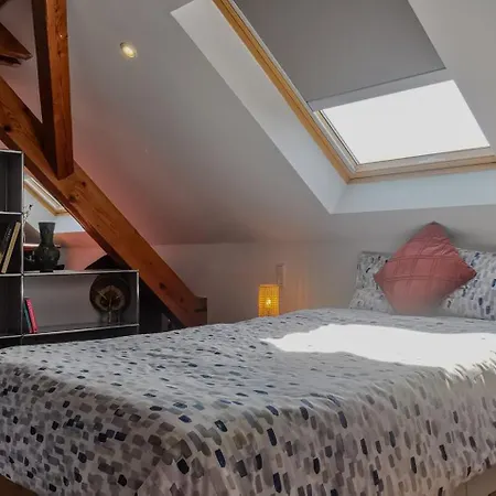 公寓 Xxl Belle Etage Bis 14 Personen Nahe