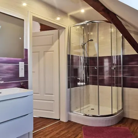 公寓 Suedschwarzwald Fuer Gruppen & Monteure *