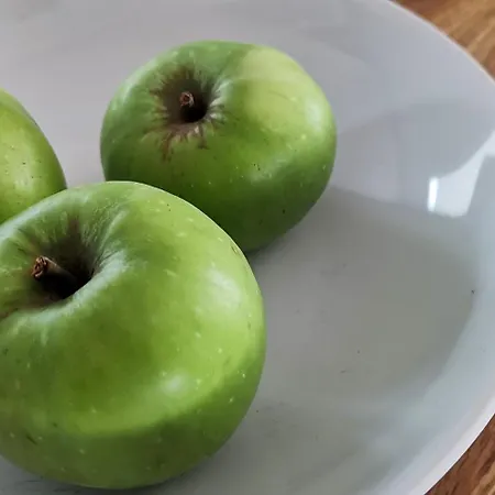 Suedschwarzwald Fuer Gruppen & Monteure *