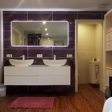 Suedschwarzwald Fuer Gruppen & Monteure 瓦尔茨胡特·田根